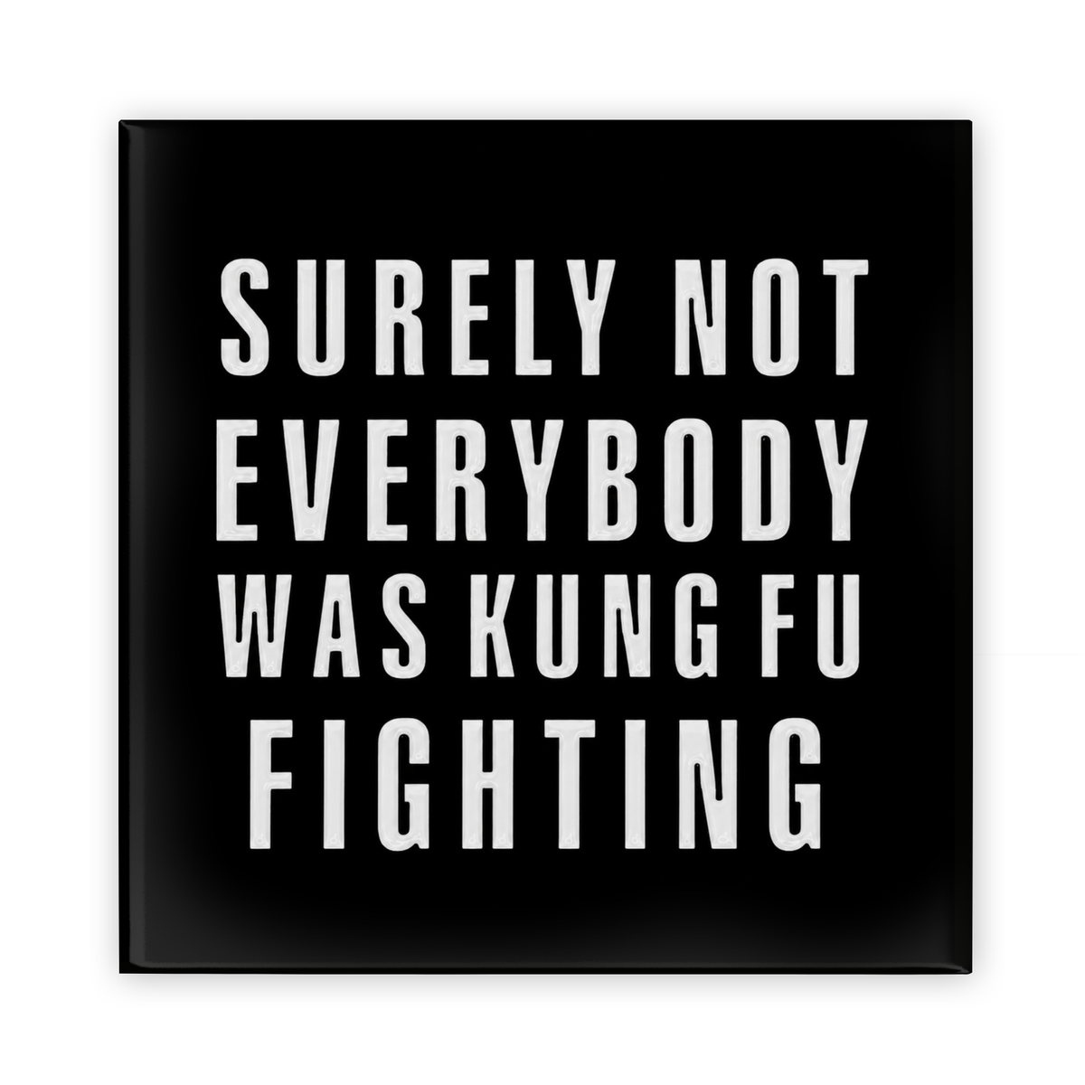 Surely Not Everybody Was Kung Fu Fighting Magnet