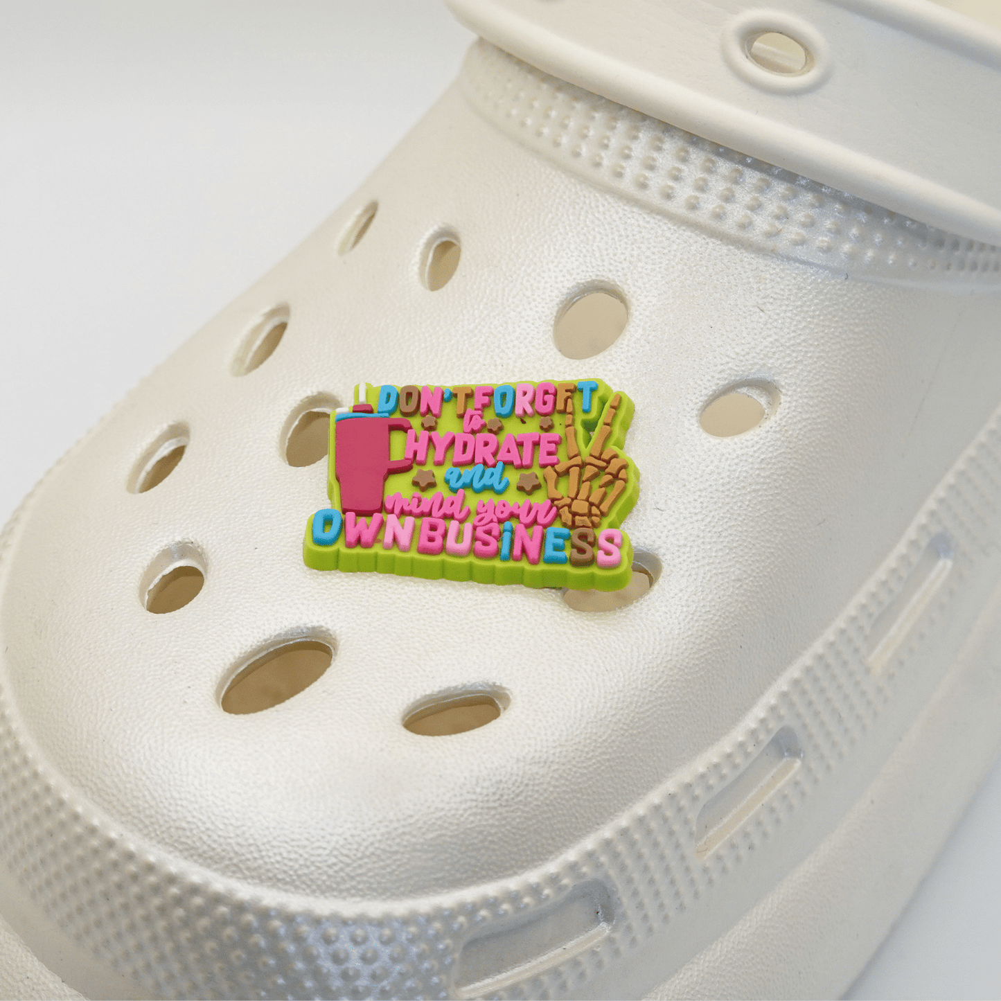 Don't Forget To Hydrate & Mind Your Own Business Croc Charm