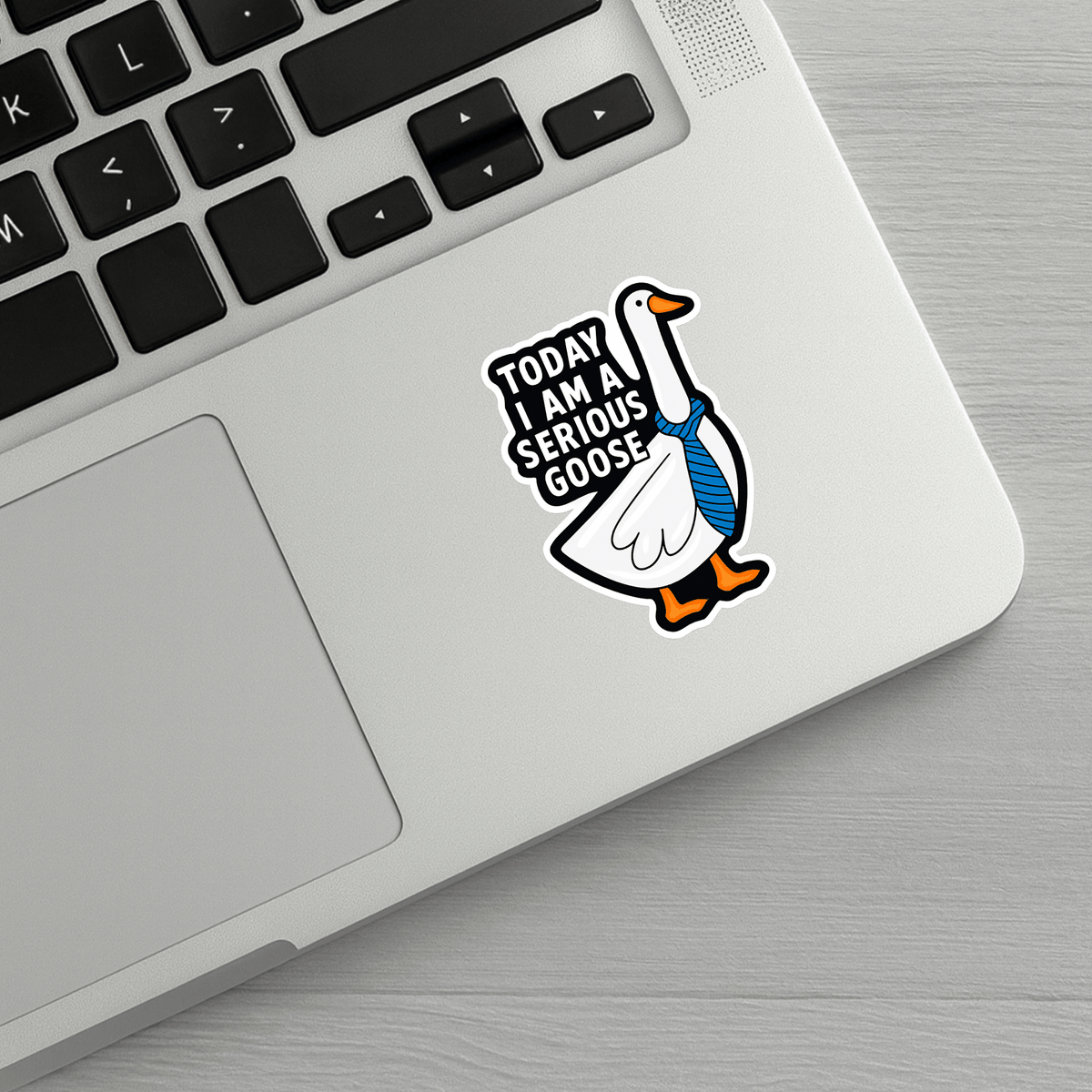 Today I Am A Serious Goose Sticker