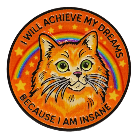 I Will Acheive My Dreams Because I Am Insane Enamel Pin